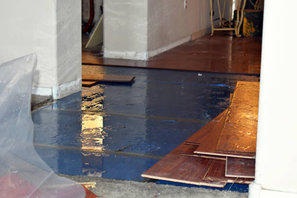 Professional Water Damage Restoration technician working in South Rockwood, MI