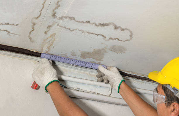 Reliable Water Damage Restoration contractor in South Rockwood, MI by Local Water Damage Repair